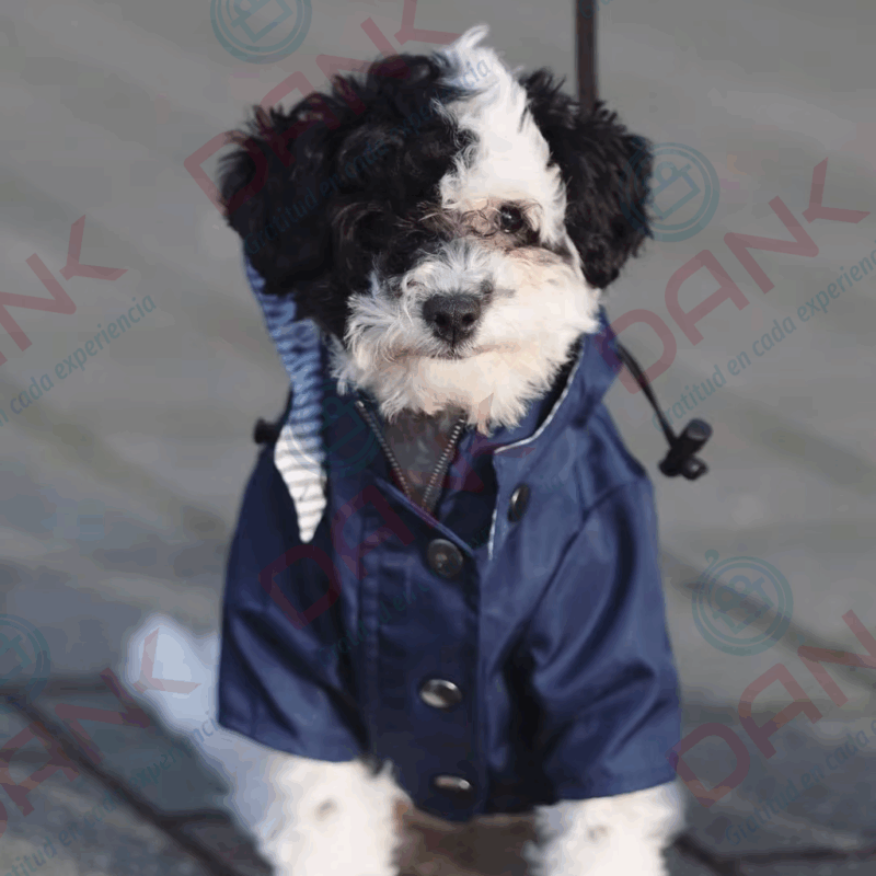 Abrigo PetCare Cortaviento - Imagen 2