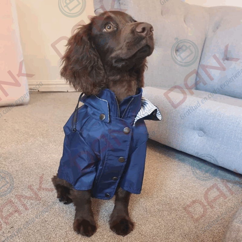 Abrigo PetCare Cortaviento - Imagen 6