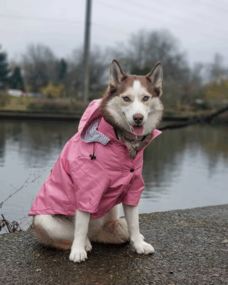 Abrigo PetCare Cortaviento - Imagen 7