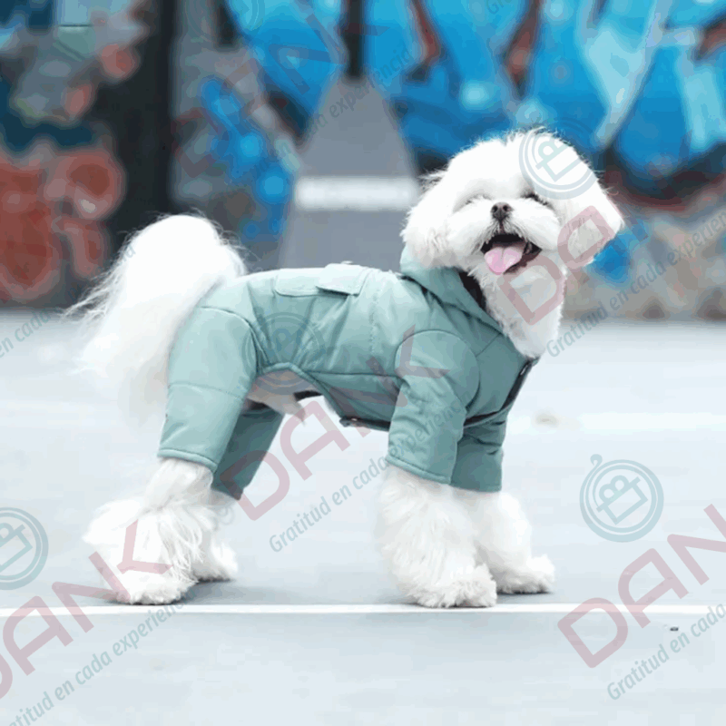Chaleco Abrazo Canino - Imagen 2